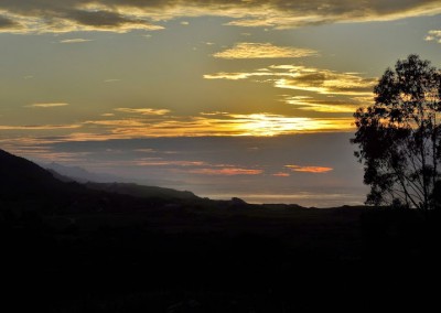 _DSC0436